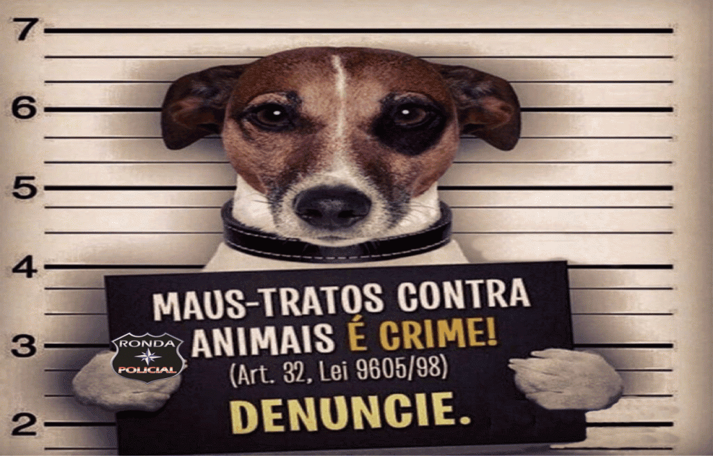 Ronda Policial Realiza Campanha De Alerta Contra Os Maus Tratos A Animais Ronda Policial